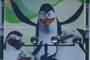 Pinguinos 