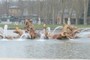 Le char d'Apollon