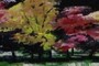 30 Westonbirt