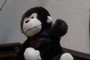 Cuddly monkey 2