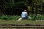 Farmers