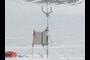 Weather Station