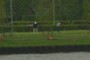 Golfers