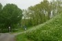 Spring is in the air