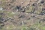 Seil der Materialseilbahn