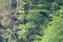 Seil der Materialseilbahn