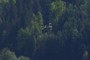 Outdoorprofi/Kletterpark