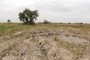 2013-05-18_GigaPan_03_AITfield_2