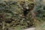 Location of the Grotto