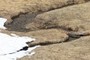 Meander Bends