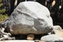 Glacial Erratics
