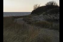 36062-210x140