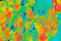 334464-210x140