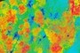 Silvopasture after treatment in NDVI