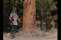 36172-210x140