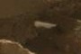 White object. Don't know what it is, but I know it doesn't belong there.