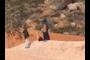 HIkers