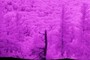NIR