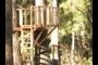 Treehouse