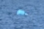 Something Floating