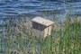 Bird House