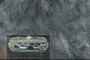 Scale bar