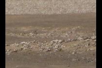 37054-210x140