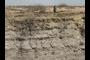 A ancient mariner stranded on a fossil lake?
