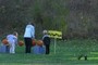 Kids, pumpkins, and mystery feet