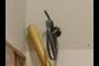 South Wall Undercabinet Lighting Power and Data