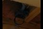 Television Outlet