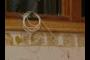 New Alarm Wiring