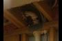 Rerouted Plumbing Vent