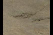 37549-210x140