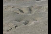 37646-210x140