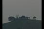 Hilltop