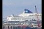 Cruise