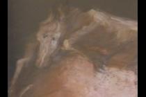 38297-210x140