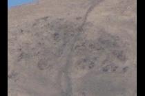 38991-210x140