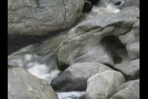 38995-210x140