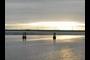 Tay Road Bridge