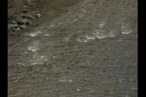 39039-210x140