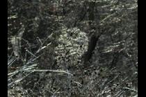 39077-210x140