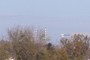The Poolbeg chimneys