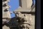Gargoyle?