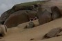 Between the rocks