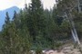 Almagre Bristlecone #066 and Mount Rosa