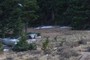 Path to DeadCar