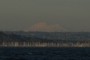 Mt Baker