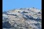 Desert Snow